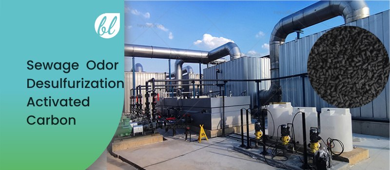 Sewage Odor Desulfurization Activated Carbon