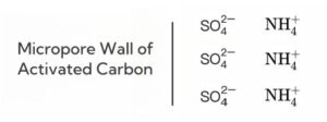 Micropore Wall of Activated Carbon Adsorbed ions