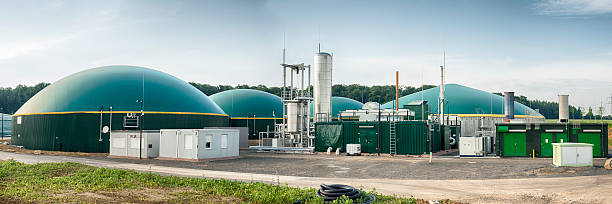Activated Carbon For Biogas H2S Removal-Heycarbons