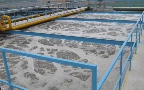 Coking plant wastewater