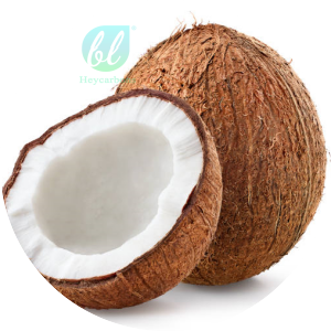 Coconut Shell Activated Carbon Production Process2444