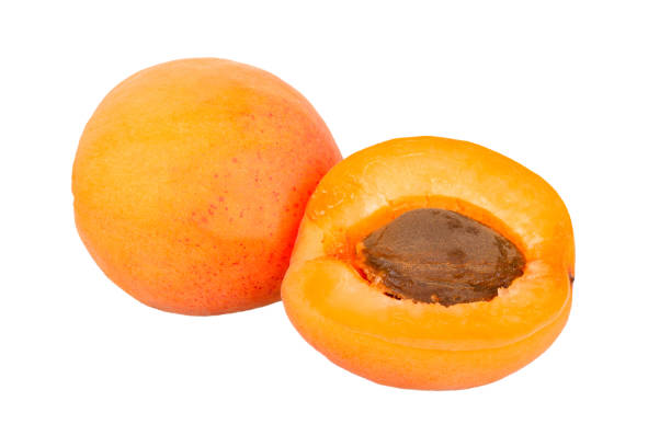 apricot shell activated carbon