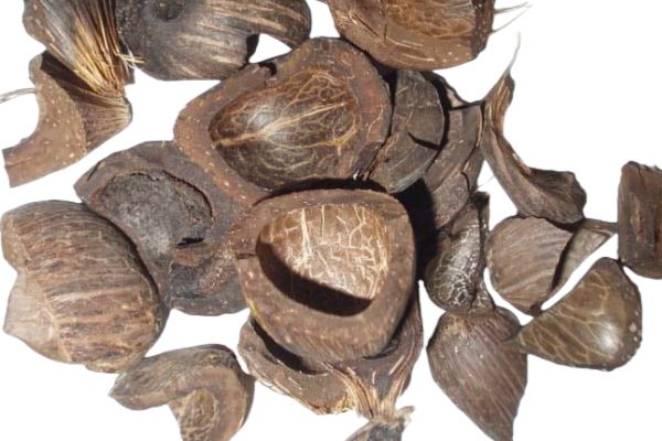 palm shell activated carbon