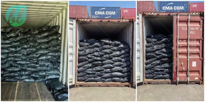 Photos of the Shipment Process of Activated Carbon for Gold Extraction, Bound for Tanzania