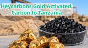 gold activated carbon to Tanzania